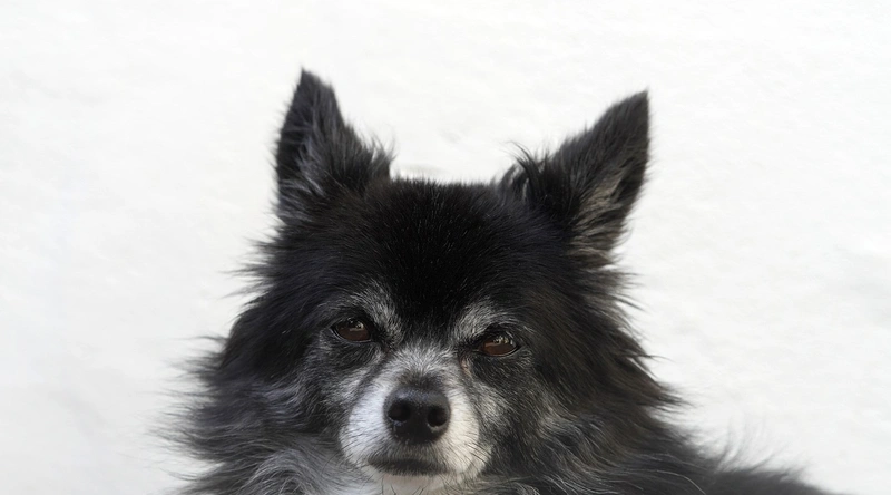 반복 굴곡 환경에서 동적 케이블