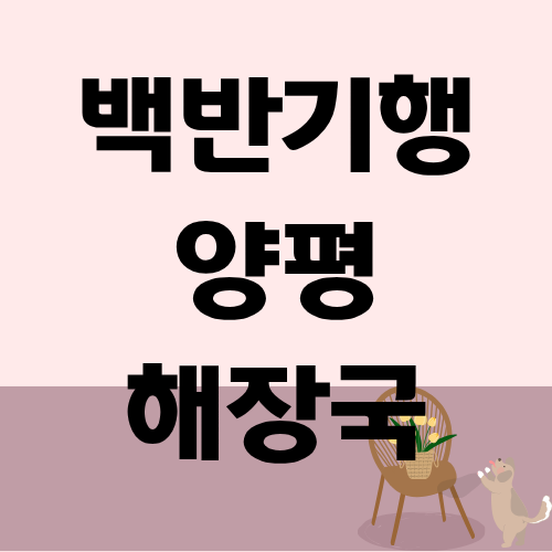 백반기행 양평 해장국 박소담