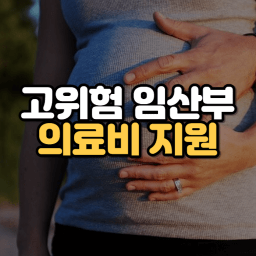 고위험임산부 의료비 지원