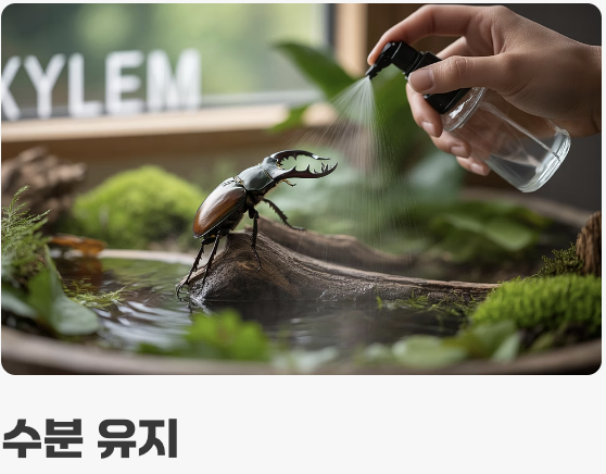 이것만은 꼭! '관리'의 핵심 포인트