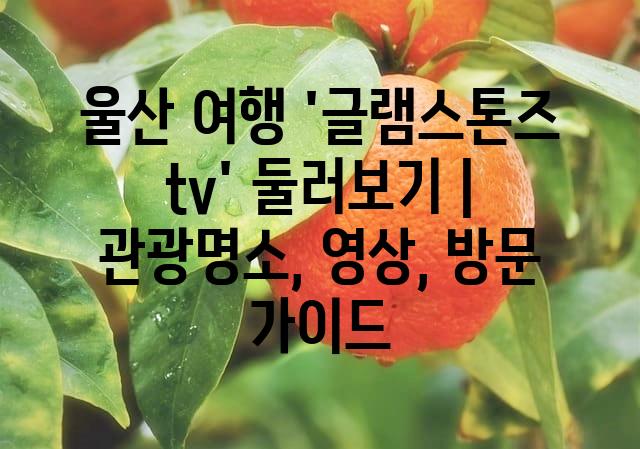 랜덤171