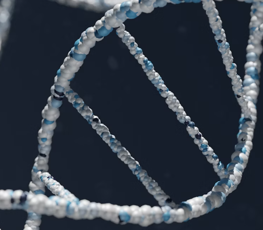 엽산 효능 - DNA