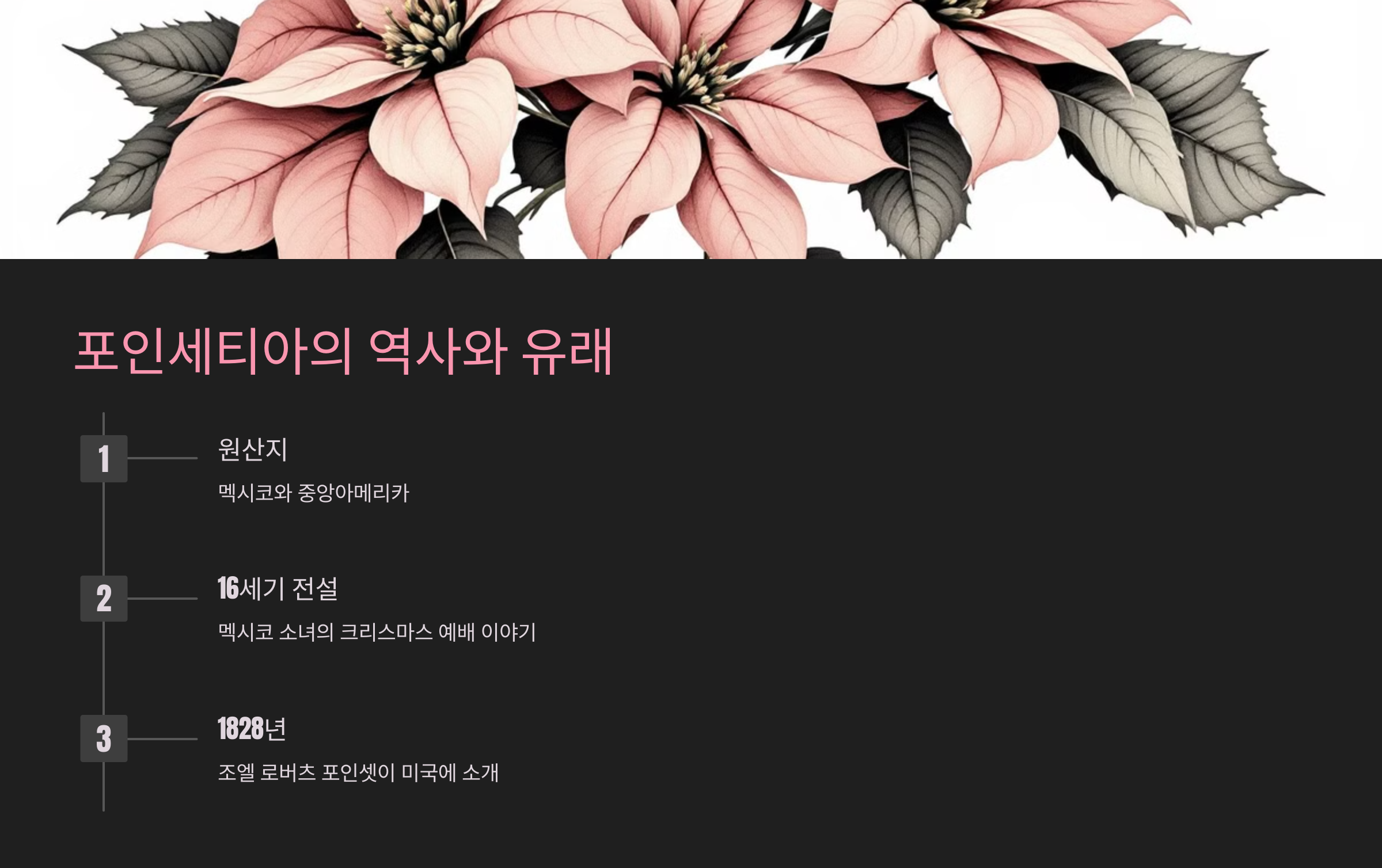 포인세티아의 역사와 유래