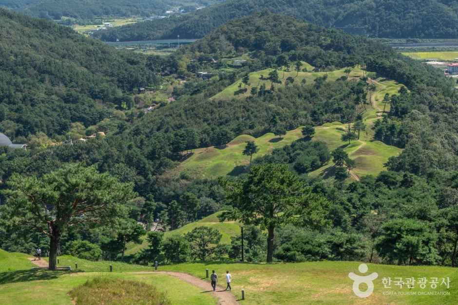 고령 가볼만한곳 베스트10