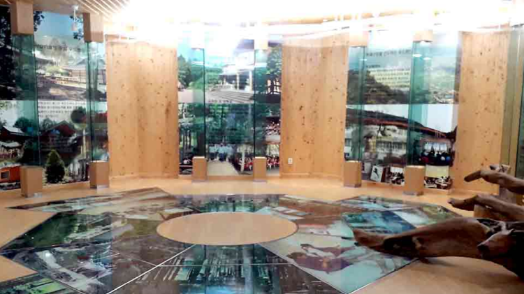 장흥 우드랜드 편백숲