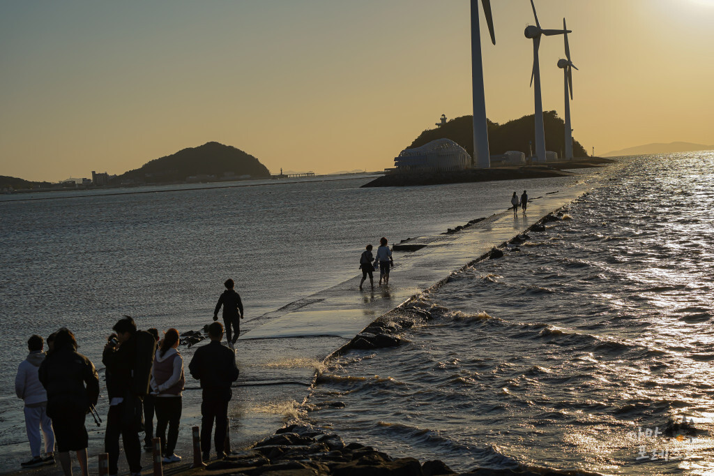 안산 탄도항 바다 산책