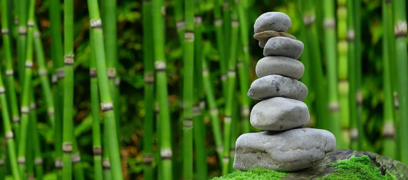 웰니스관광? 한국관광공사 웰니스 관광 관련 기사모음