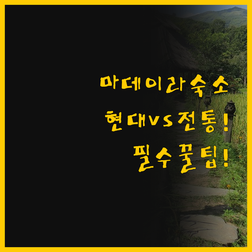 마데이라 숙소 선택 가이드 현대적 편..