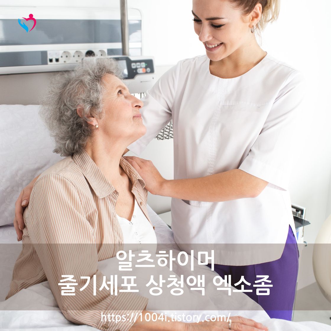 알츠하이머성 치매 – 뇌 신경 질환
