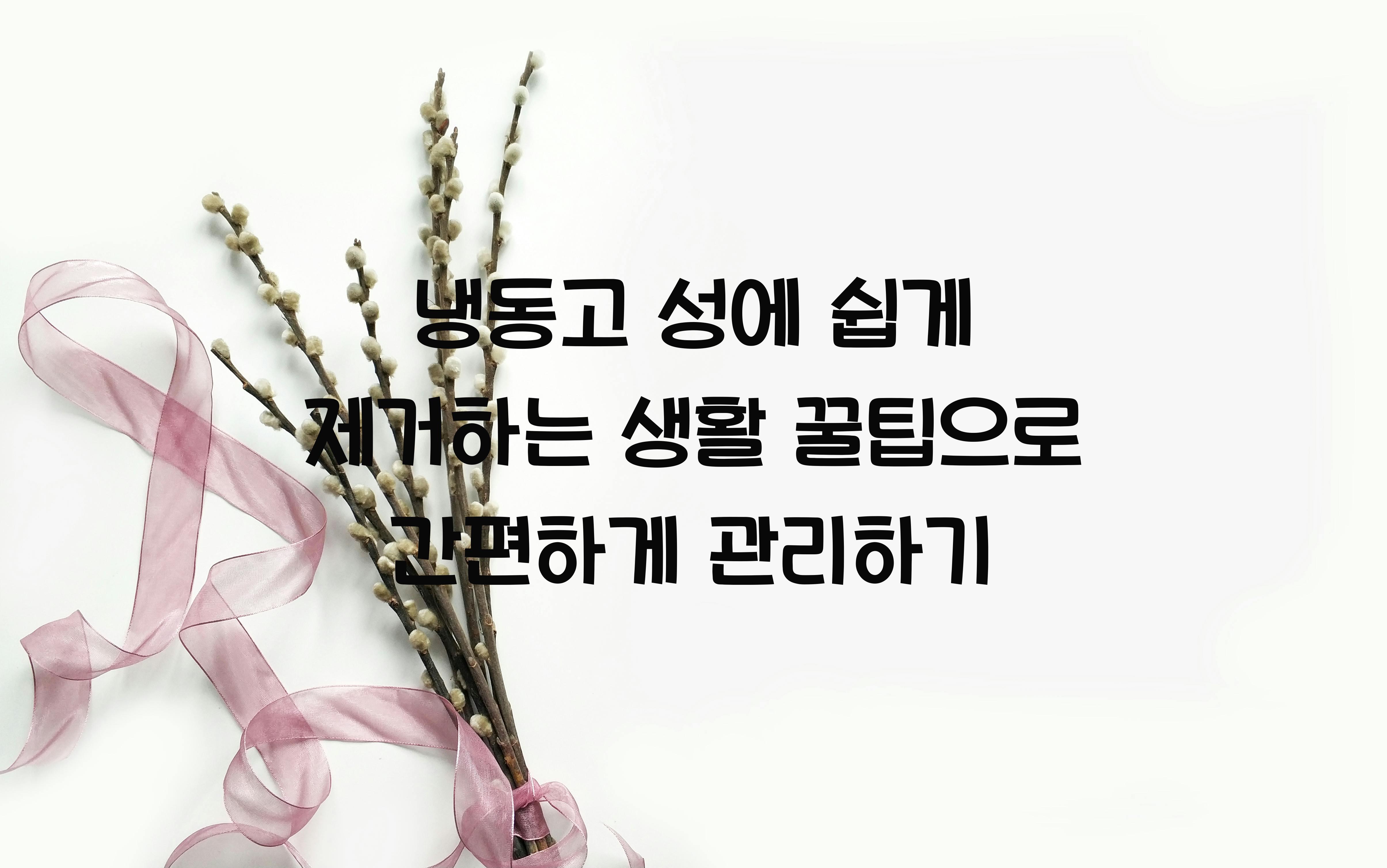 냉동고 성에 쉽게 제거하는 생활 꿀팁