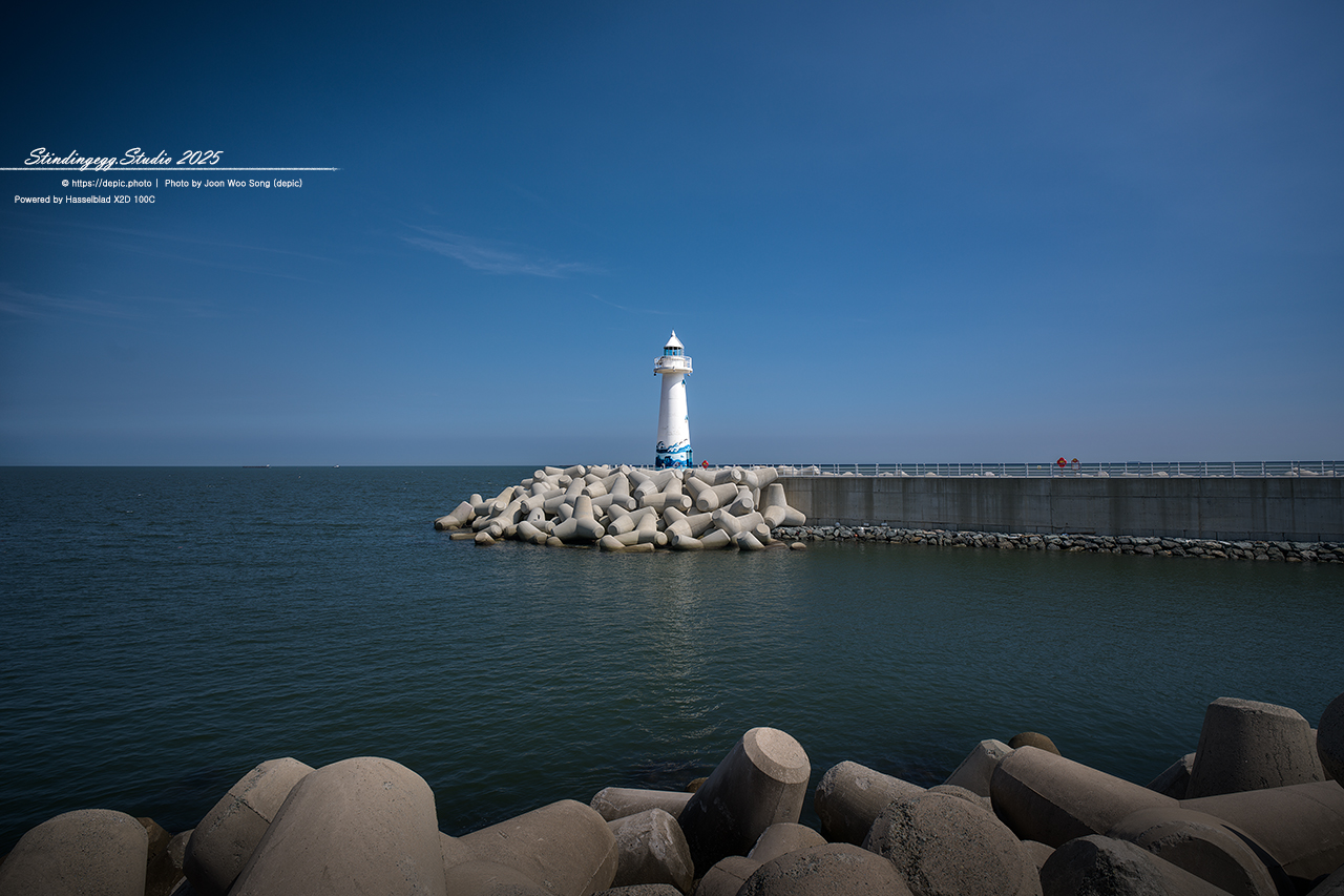 #부산 #해운대 #청사포 #바다 #기차