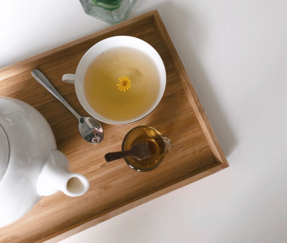 지방간 없애는 법 민들레