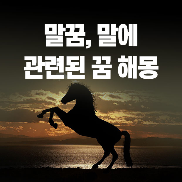 말 꿈 해몽, 말 타는 꿈, 날개 달린 말꿈, 말과 관련된 꿈
