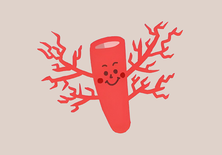 심혈관-건강-증진