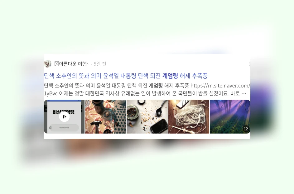 계엄령_3_subsection