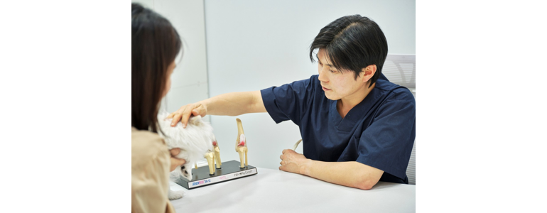 인천 남동구 동물병원