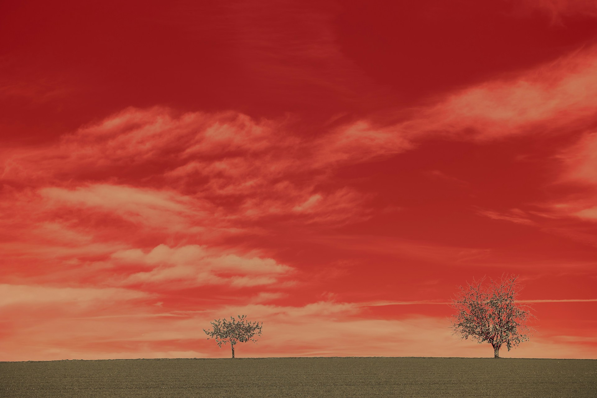 여름철 피곤한 이유