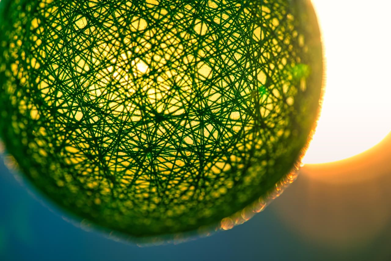 전통 공예를 활용한 독창적인 키친 인테리어 아이디어