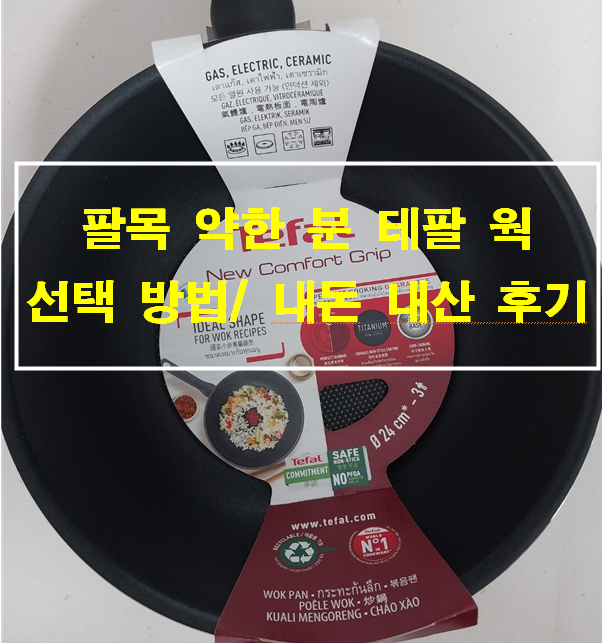 팔목 약한 분_ 테팔 웍_ 선택 방법_ 내돈 내산 후기
