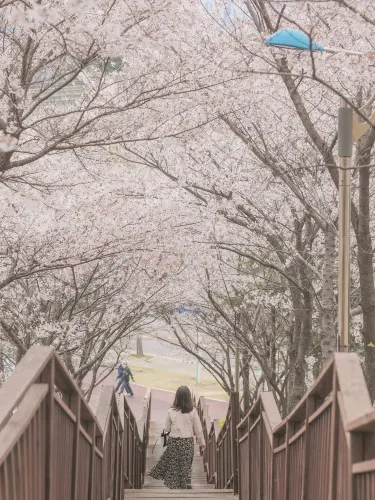 인천 남동구 반려견 겨울 나들이 명소, 강아지와 함께 걷기 좋은 산책 코스
