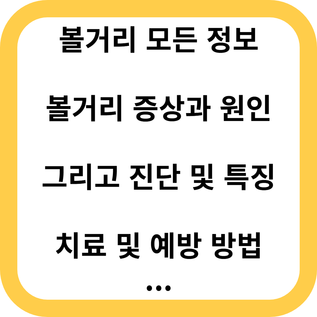 볼거리
