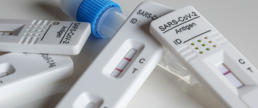 코로나 자가진단 키트 사용법 2