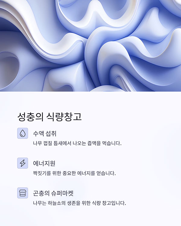 성충도 나무 즙액과 껍질을 먹는다