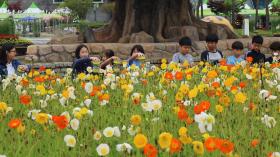 함평나비대축제