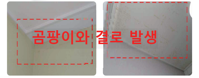 곰팡이와 결로 발생