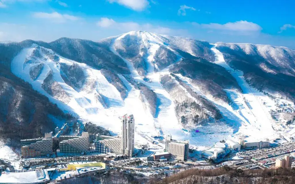 평창 휘닉스파크 개장일