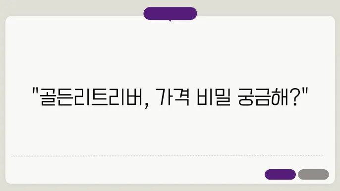 골든리트리버분양은 알아보기