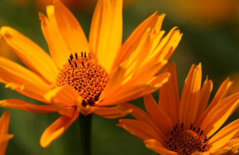 전국민 25만원 민생회복지원금 완벽 정리 17