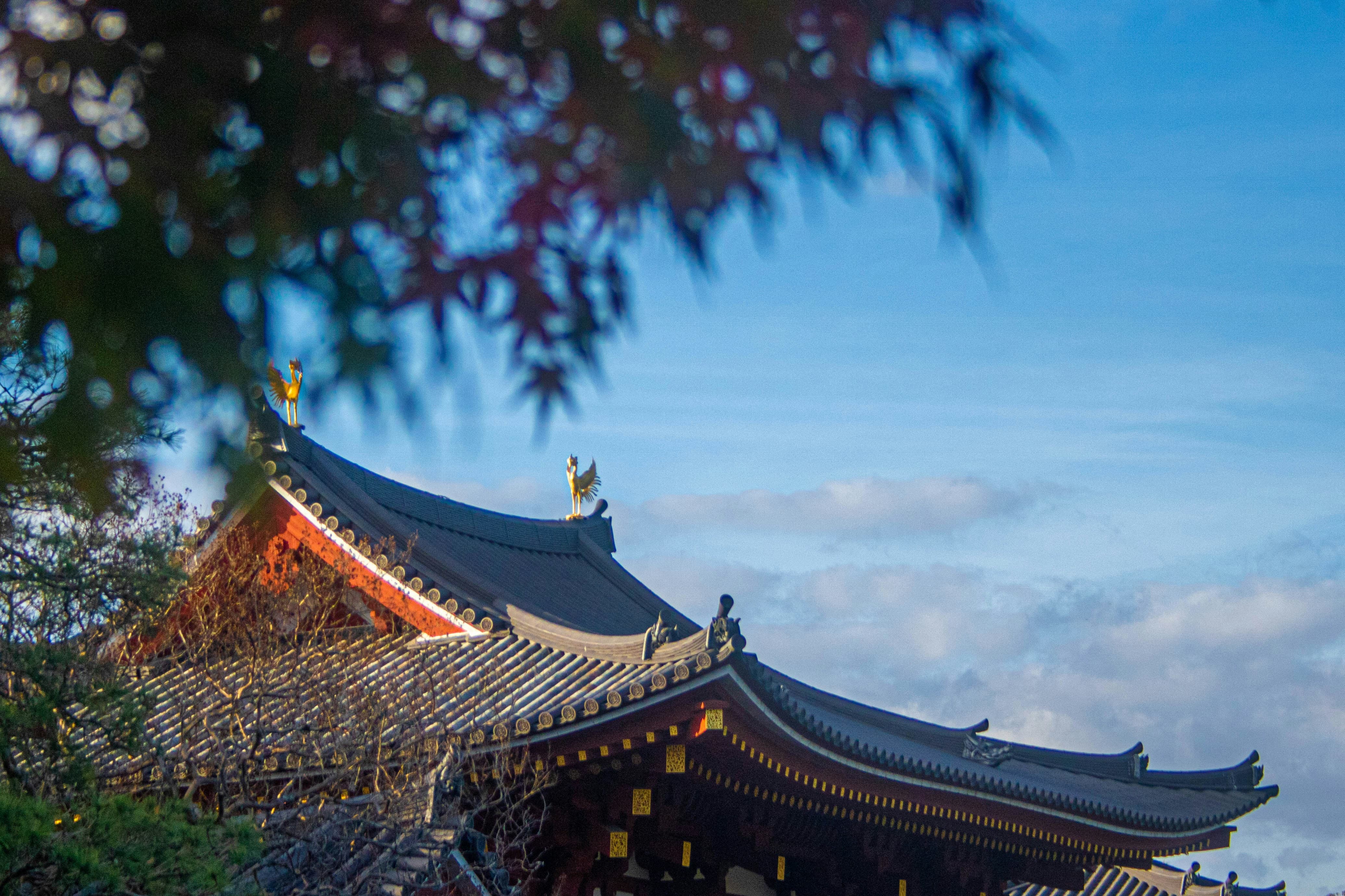 경상도 지역 가볼만한 사찰 베스트 10