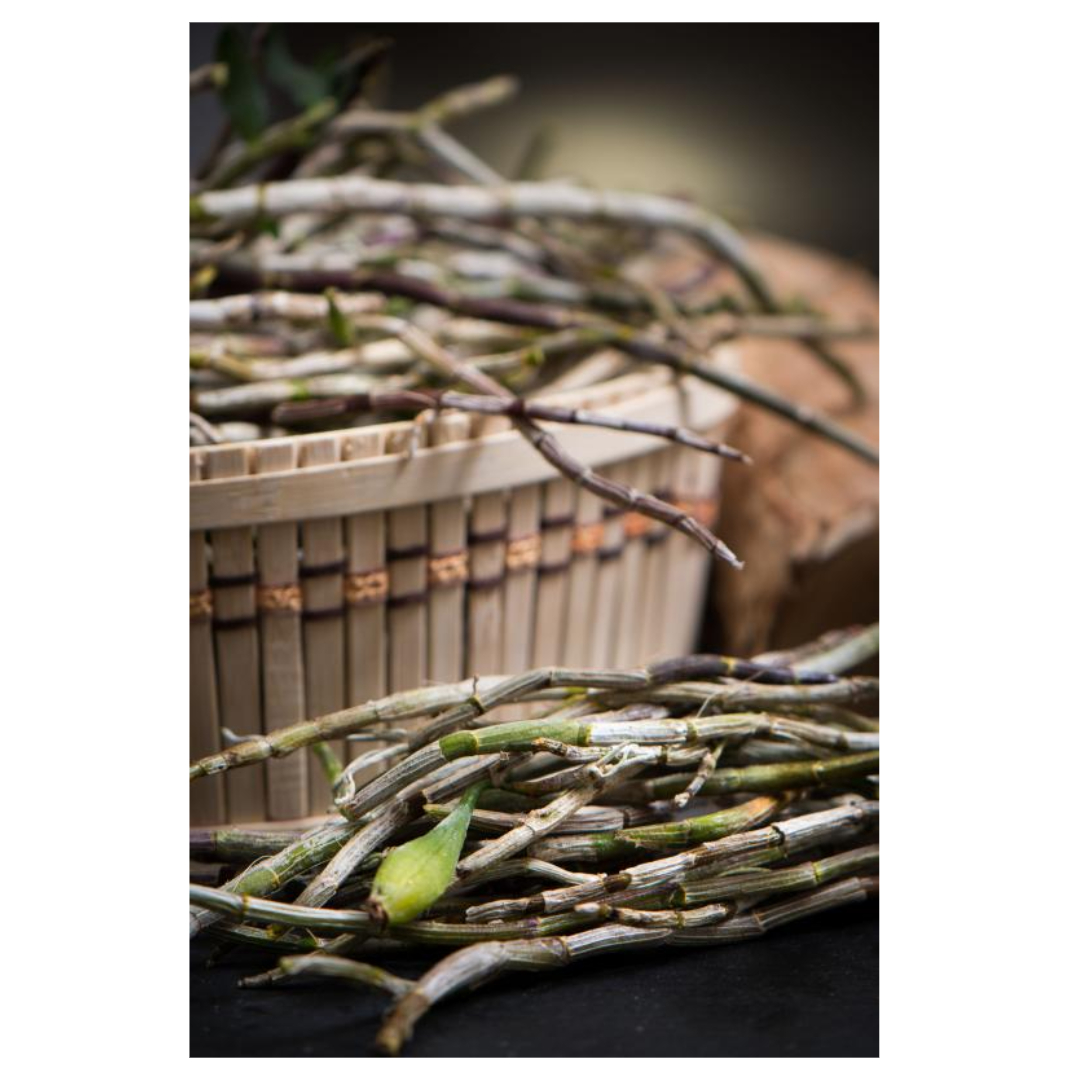 공진단과 관련된 사진입니다.