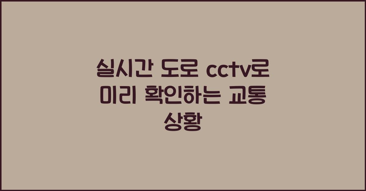 실시간 도로 cctv