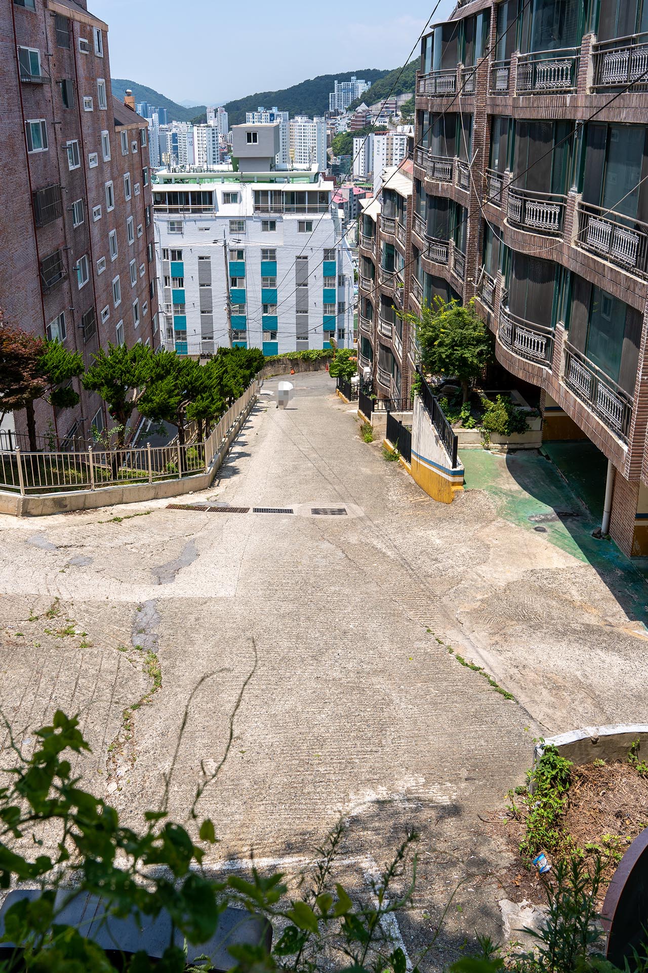 괴정 카페 만디