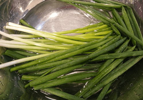 파김치 맛있게 담그는 법 (레시피)