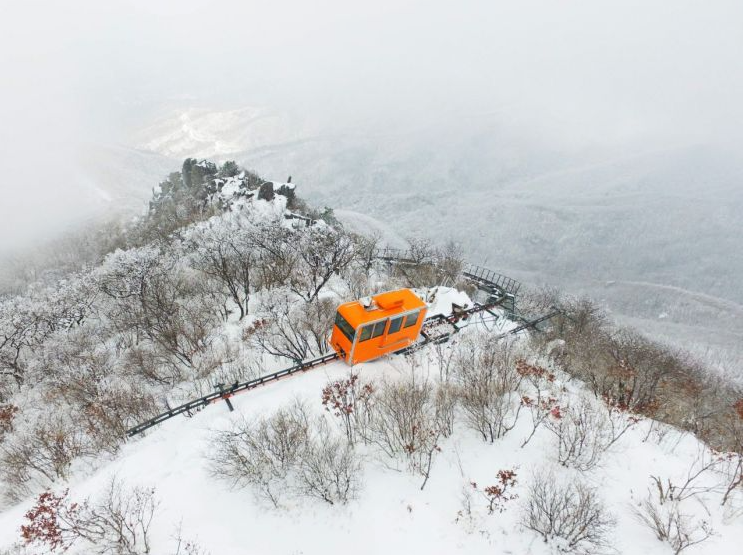 대봉산 모노레일 예약