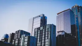부동산 전망