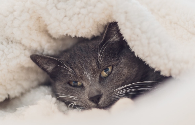 안전하고 풍요로운 환경