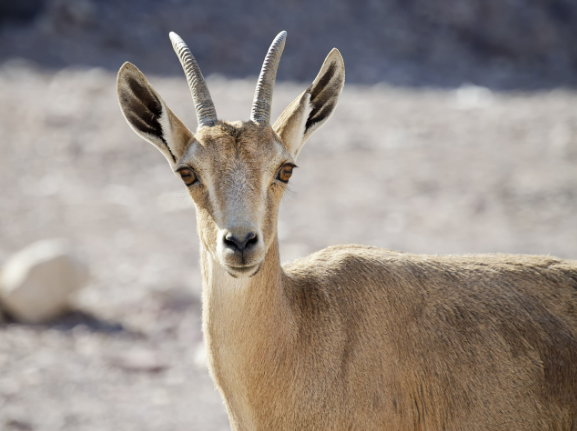 지속 가능한 건강 식품 비즈니스 제로 웨이스트