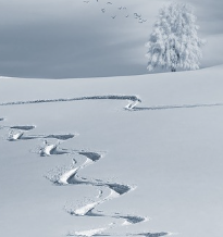자동차 엔진경고등 원인
