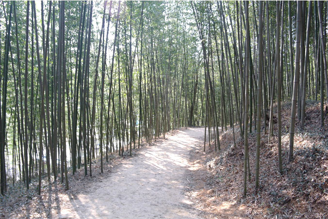 국내 5월 여행지