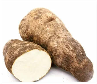 마 효능 보관법 먹는법 마즙 만들기까지 종합 가이드_11