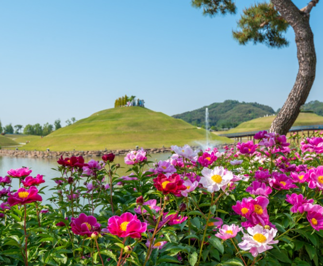 국내 6월 여행지