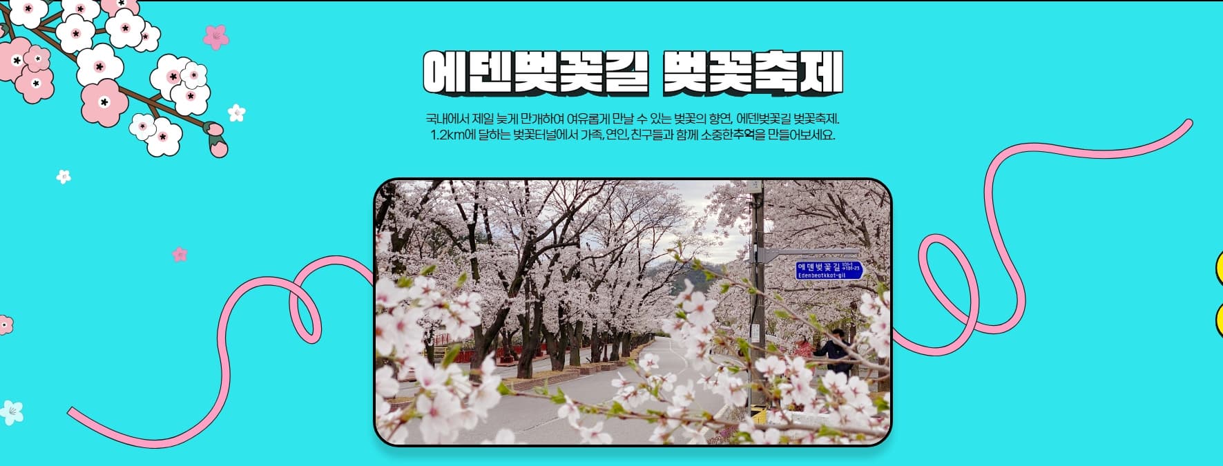 [지역 축제]가평 에덴벚꽃길 벚꽃축제❘축제 기간, 일정, 체험 행사, 먹거리, 포토존