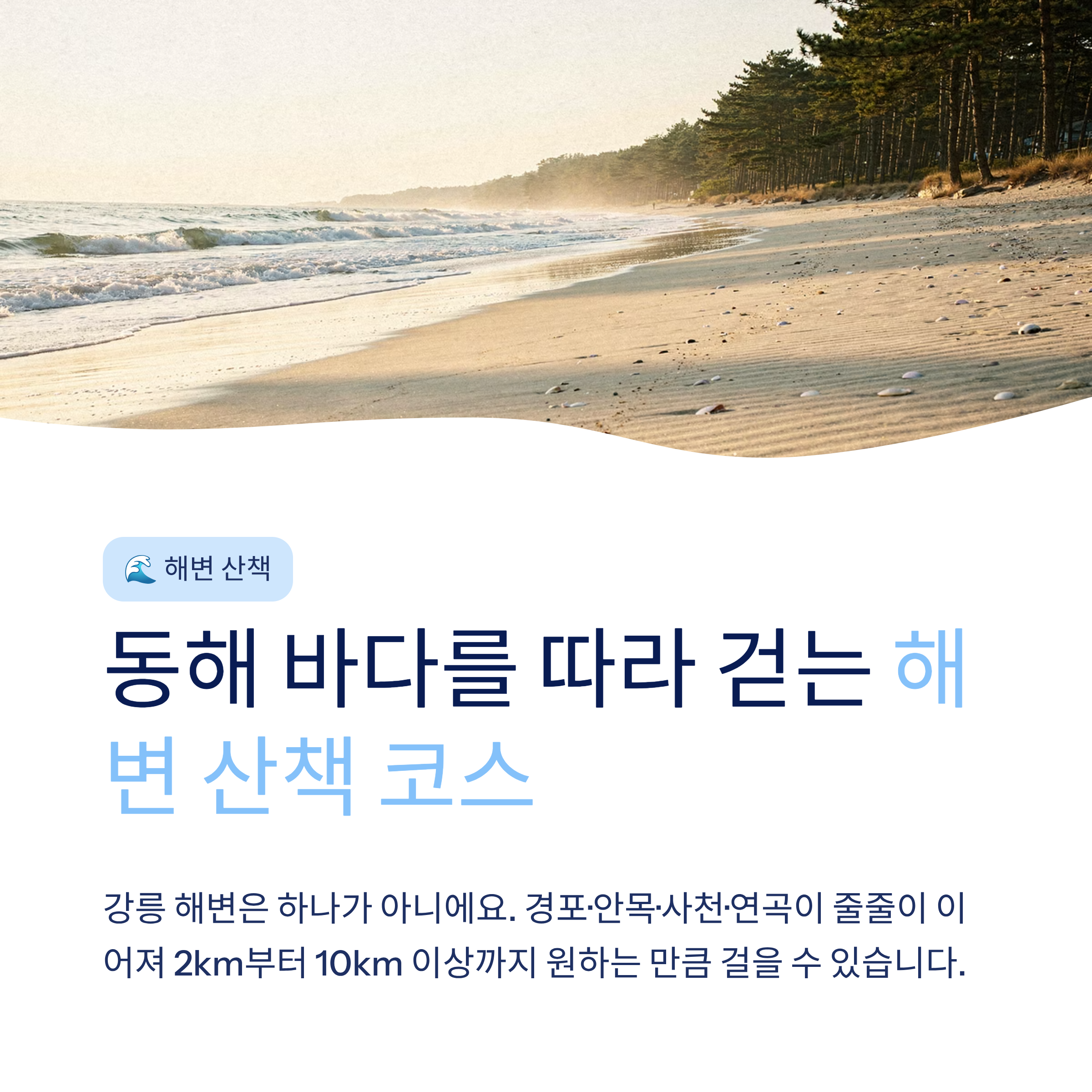 강릉 근교 산책 달리기 트레킹 코스 추천 ❘ 바다와 소나무 숲 사이를 걷는 법