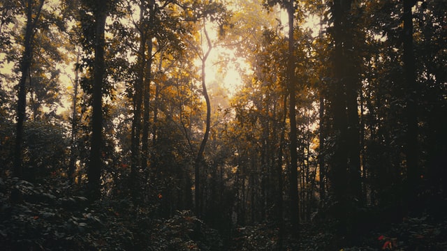 부동산 실거래가 신고