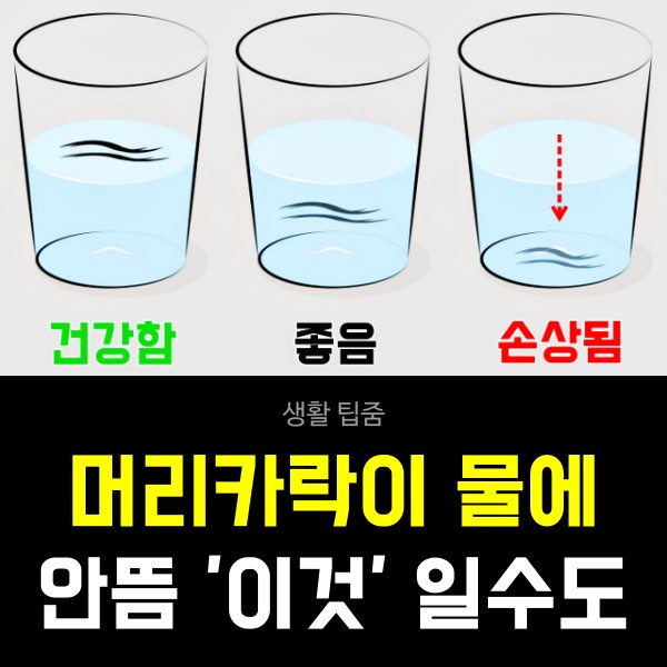 염색 파마 열펌 고데기 머리 손상 확인하는 방법, 뷰티 생활 건강 팁줌 매일꿀정보
