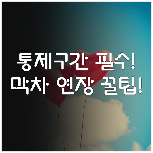 12/31 제야의 종 교통 통제 시간..